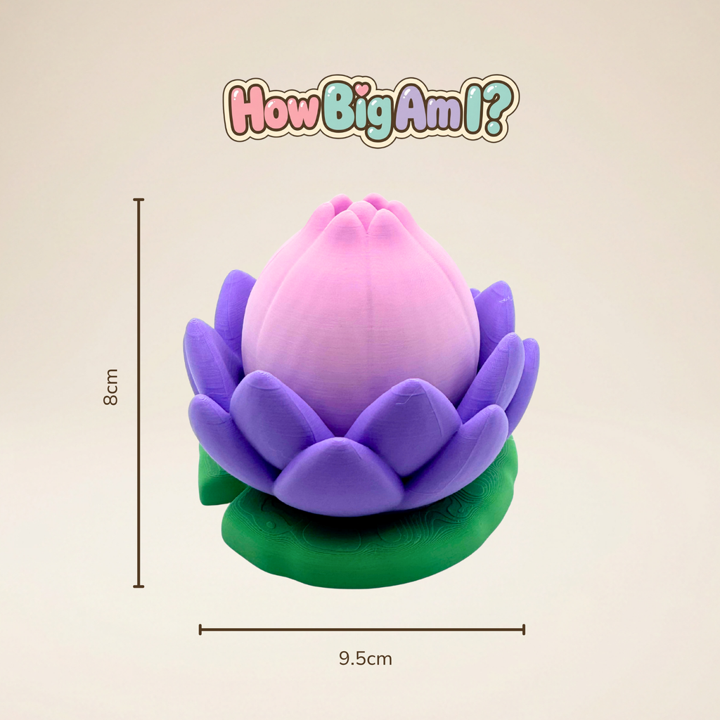 Axolotl Family Set – 5-Piece 3D Printed Articulated Mini Critters